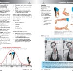 Bruise Erector Multifidi