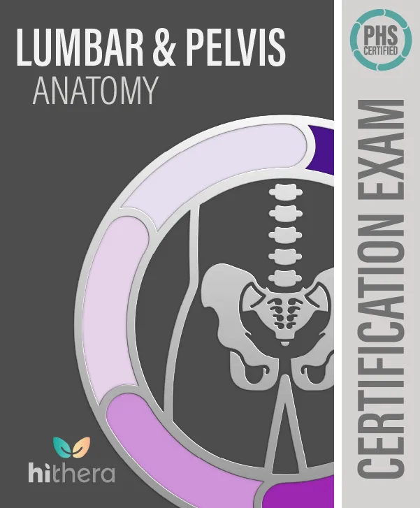 Lumbar Pelvis Anatomy