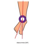 Ankle & Foot-Goniometry_Abduction_lower Limb ROM