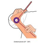 Ankle & Foot-Goniometry_Dorsiflexion(0-20)_lower Limb ROM