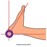 Ankle & Foot-Goniometry Dorsiflexion Lower Limb ROM