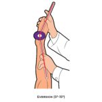 Ankle & Foot-Goniometry_Eversion (5-15)_lower Limb ROM