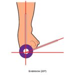 Ankle & Foot -Goniometry Eversion Lower Limb ROM