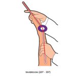 Ankle & Foot-Goniometry_Inversion(20-35)_lower Limb ROM