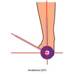 Ankle & Foot-Goniometry Inversion Lower Limb ROM
