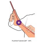 Ankle & Foot-Goniometry_Plantar Flexion_lower Limb ROM