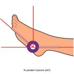 Ankle & Foot-Goniometry_Planter Flexion_lower Limb ROM