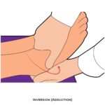 Ankle & Foot-PROM_Inversion (Adduction)_lower Limb ROM