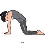 Arm Balances_Cat_yoga