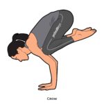 Arm Balances_Crow_yoga