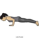 Arm Balances_Low Plank_yoga