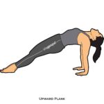 Arm Balances_Upward Plank_yoga