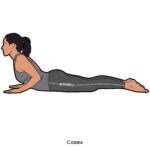 Back bend_Cobra_yoga