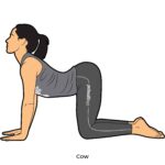 Back bend_Cow_yoga