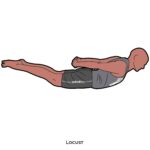 Back bend_Locust_yoga