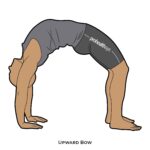 Back bend_Upward Bow_yoga