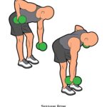 Back_ Seesaw Row_dumbbell