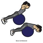 Back_Back Extension_body ball