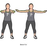 Back_Back Fly_resistance band_c