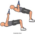 Back_Inverted Row_suspension