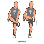 Back_Leg Curls_bodyweight