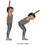 Back_Neutral Spine_staff