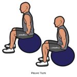 Back_Pelvic Tilts_body ball