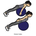 Back_Prone Cobra_body ball