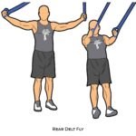 Back_Rear Delt Fly_suspension