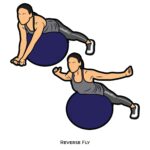 Back_Reverse Fly_body ball