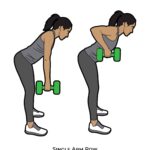 Back_Single Arm Row_dumbbell