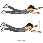 Back_Swimmer_bodyweight