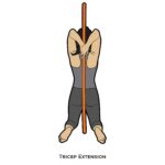 Back_Tricep Extension_staff
