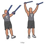 Back_Y Fly_suspension