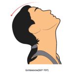 Cervical AROM_Extension_spinal ROM