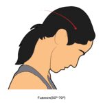 Cervical AROM_Flexion_spinal ROM
