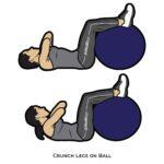 Core_Crunch Legs on Ball_body ball