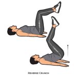Core_Reverse Crunch_bodyweight