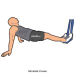 Core_Reverse Plank_suspension