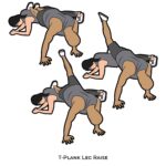 Easy_T-Plank Leg Raise_Partner Workout