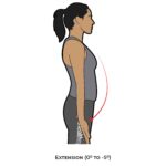 Elbow AROM_Extension_Upper Limb ROM