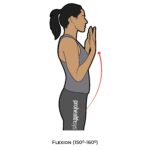 Elbow AROM_Flexion_Upper Limb ROM