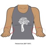 Elbow AROM_Pronation_Upper Limb ROM