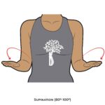 Elbow AROM_Supination_Upper Limb ROM