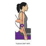 Elbow Goniometry_Flexion_Upper Limb ROM