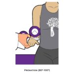 Elbow Goniometry_Pronation_Upper Limb ROM