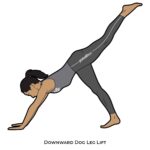 Forward Bend_Downward Dog Leg Lift_yoga