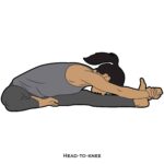 Forward Bend_Head-to-knee_yoga