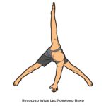 Forward Bend_Revolved Wide Leg Forward Bend_yoga