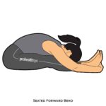 Forward Bend_Seated Forward Bend_yoga